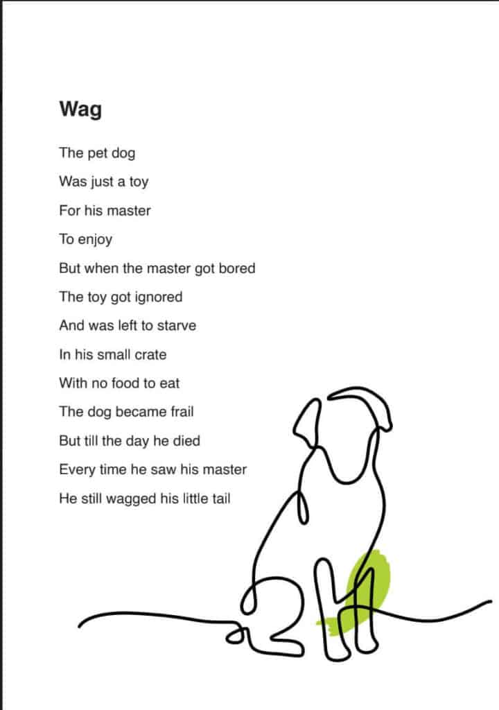 Fireflies at 3 am excerpt