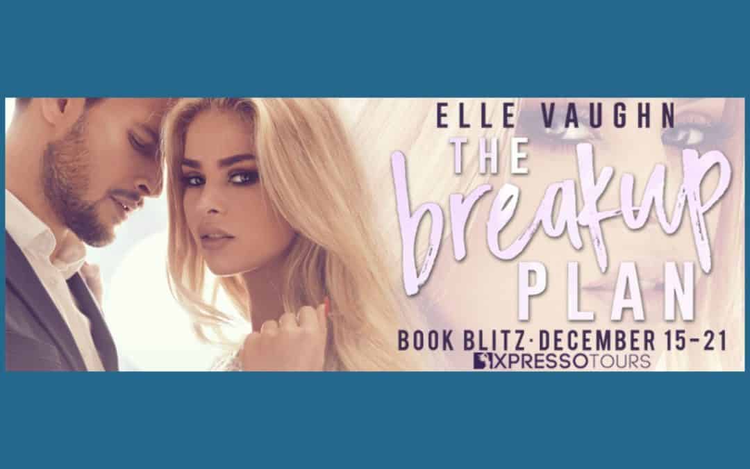The Breakup by Elle Vaught ~ Excerpt