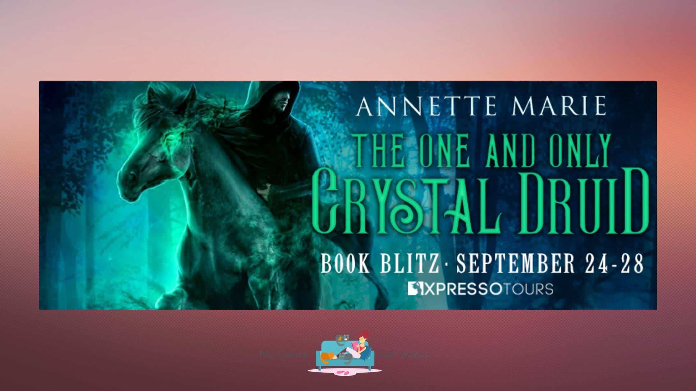 The One and Only Crystal Druid by Annette Marie ~ Excerpt
